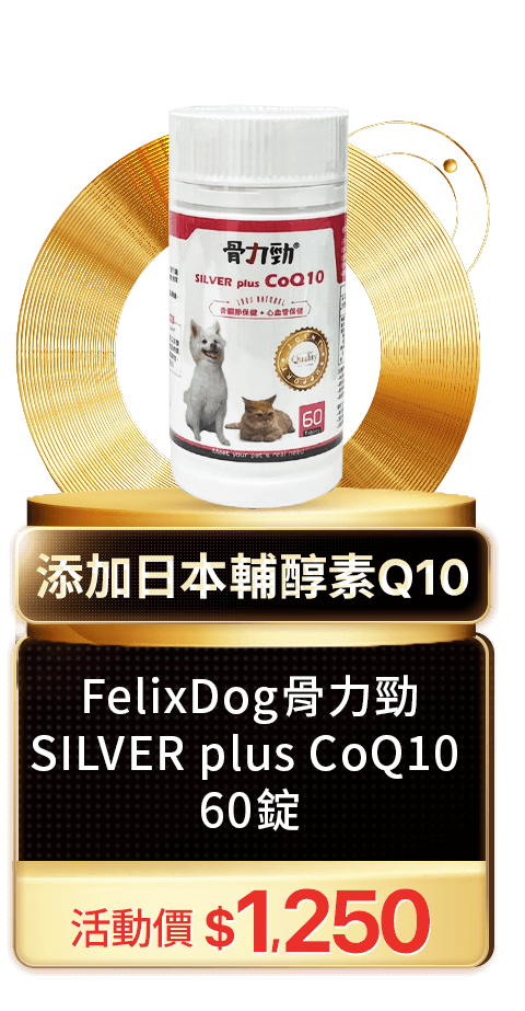 FelixDog骨力勁