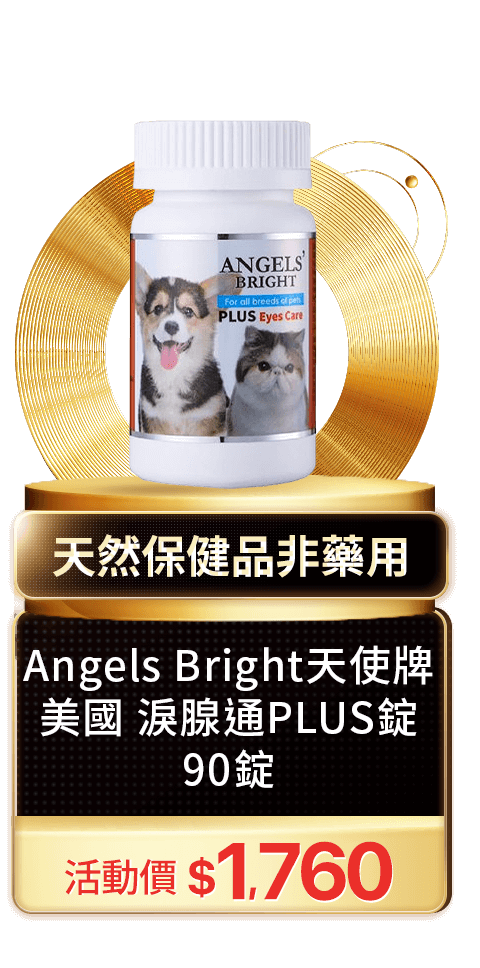 Angels Bright天使牌