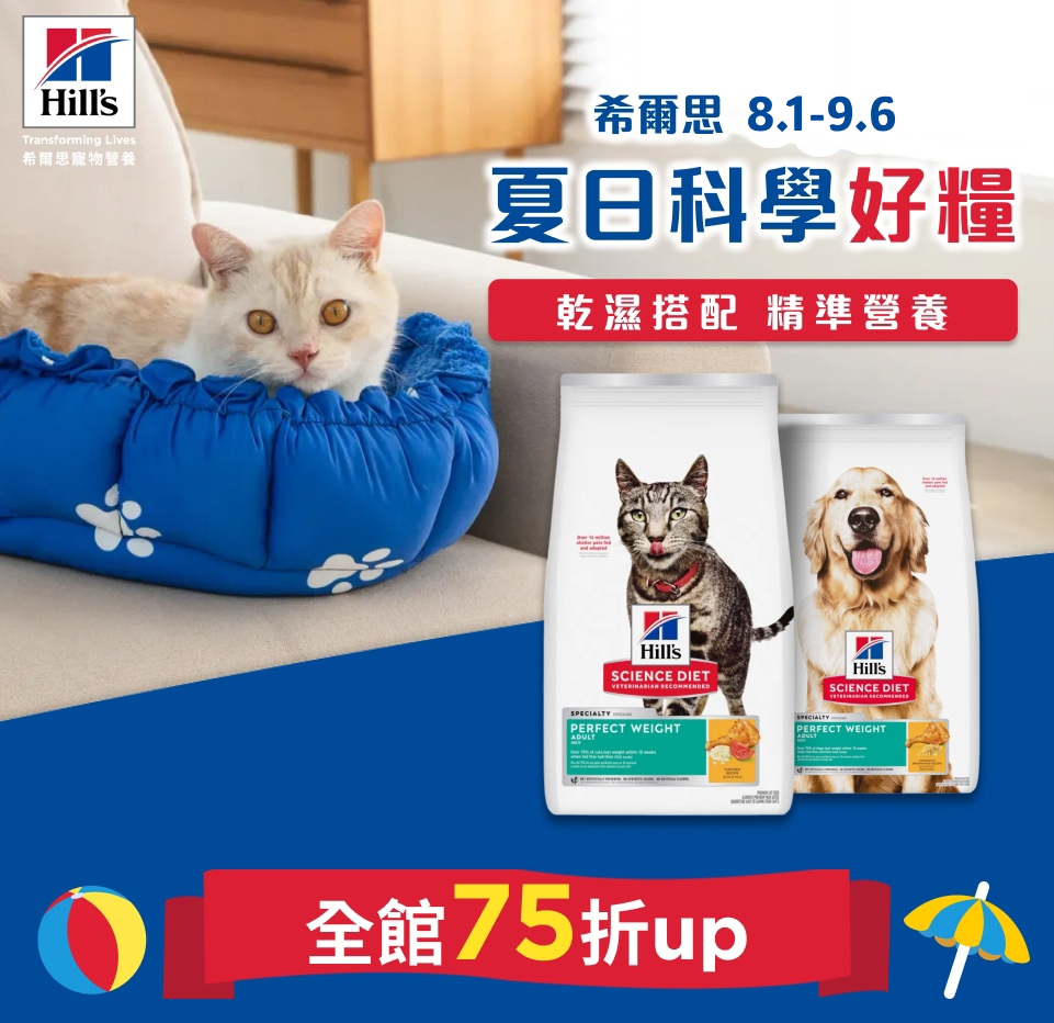 希爾斯