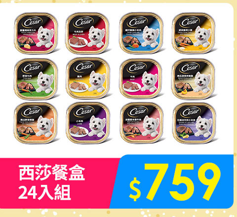 西沙餐盒24入組