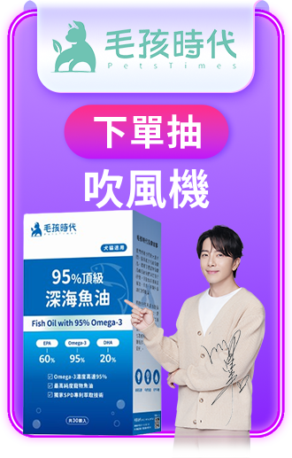 毛孩時代