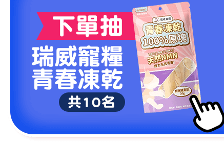 下單抽