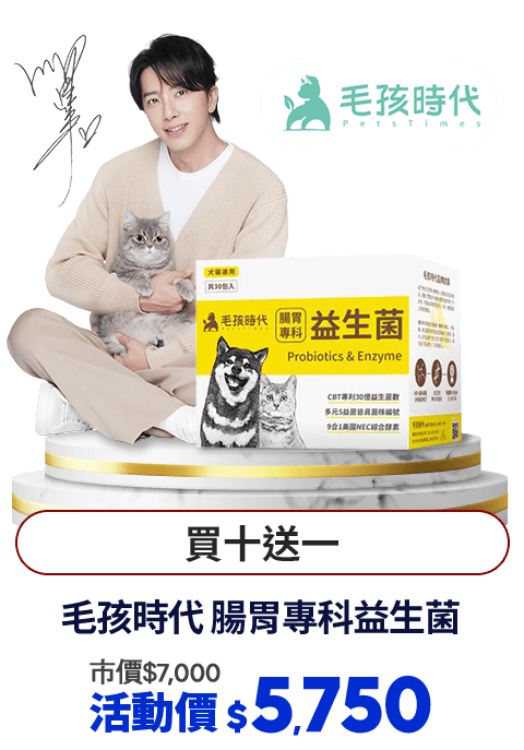 毛孩時代