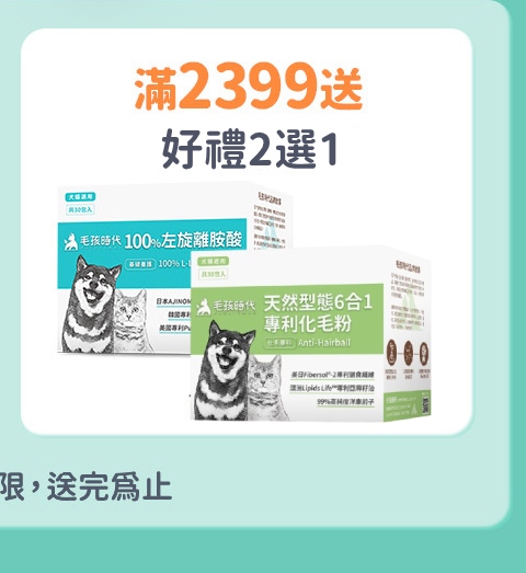 毛孩時代