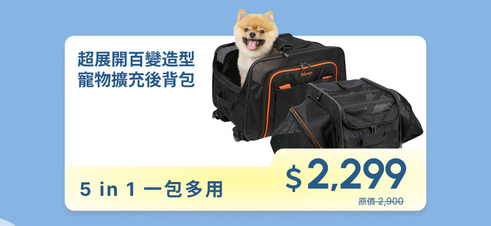 後背包