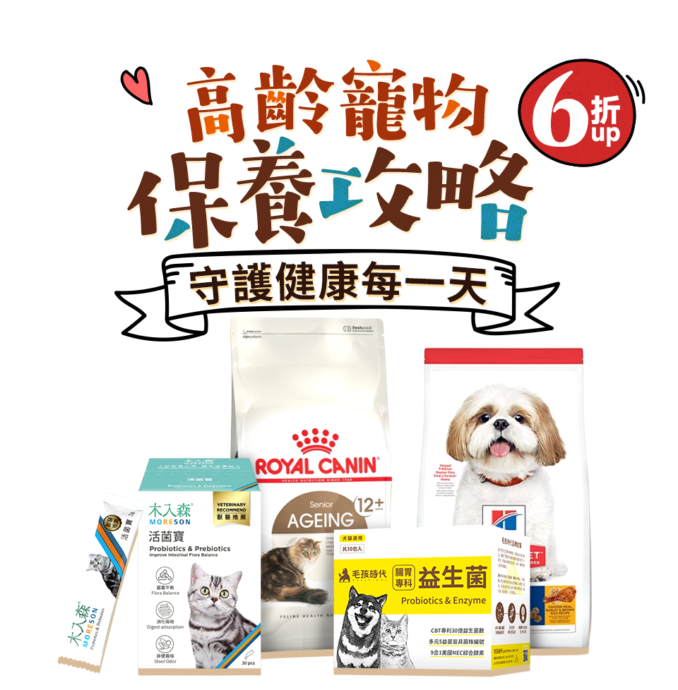 主標促銷文案