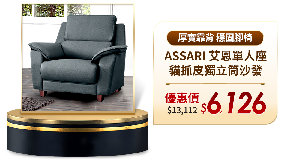 ASSARI 艾恩單人座貓抓皮獨立筒沙發