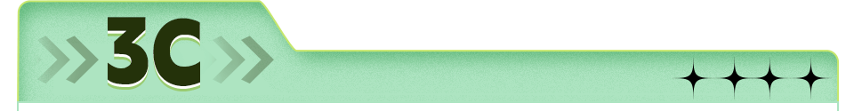 3C