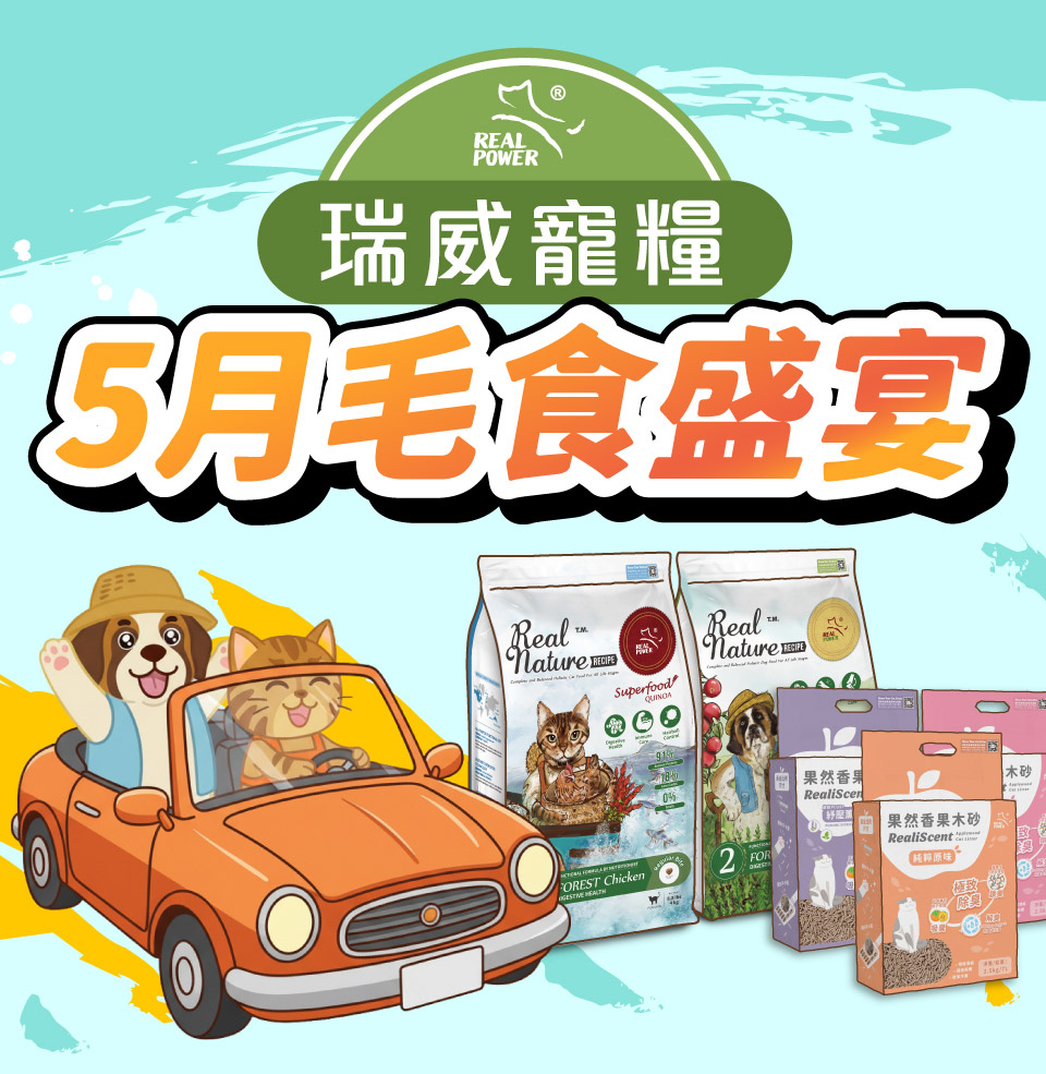 版頭