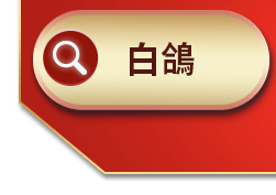 白鴿