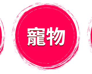 寵物