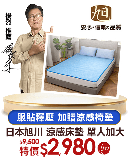 日本旭川 服貼釋壓 加贈涼感椅墊